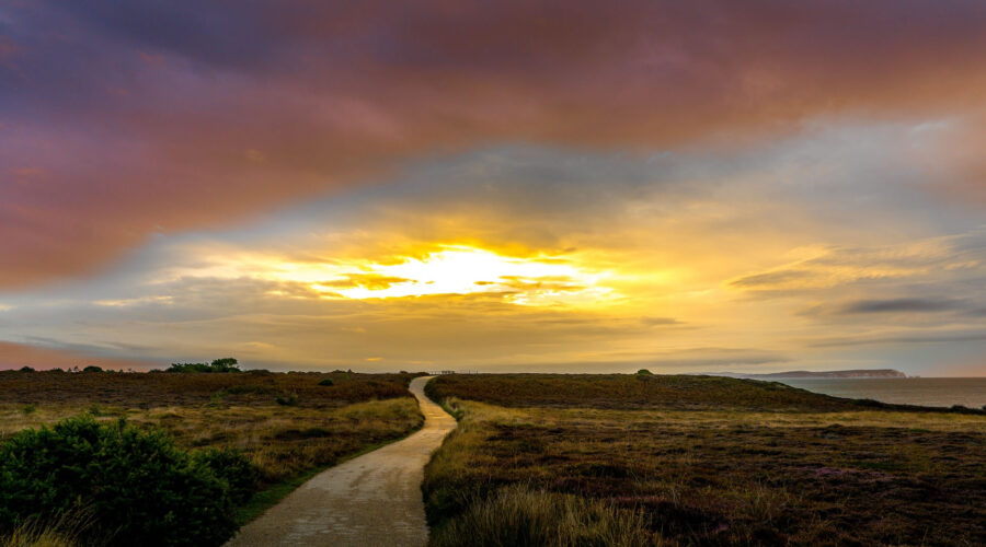 Route, aurore, soleil par Nick Fewings (unsplash.com)