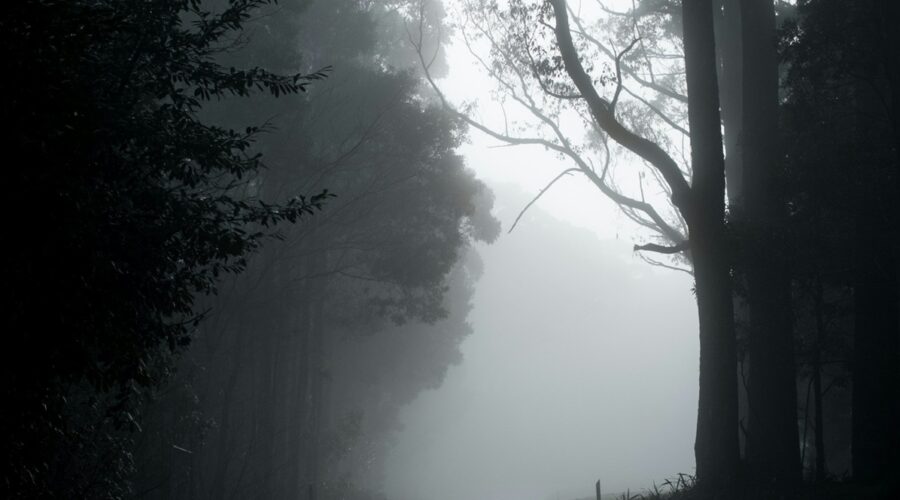 Chemin blanc et noir de Michael Mouritz